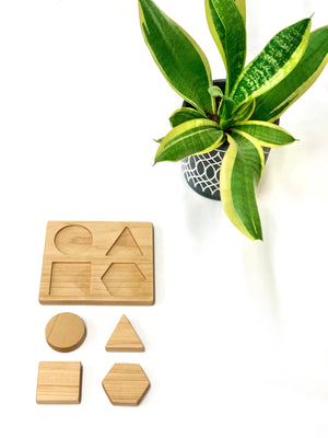 Natural wooden shape puzzle with circle, triangle, square, and hexagon pieces next to green plant in black and white pot on white background