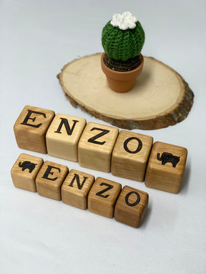 Two rows of custom 2-inch wooden blocks with letters and animal engravings spelling "ENZO" on a white surface with a small crocheted cactus on a wood slice