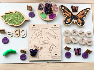 Wooden life cycle puzzle of butterfly with labeled sections and colorful butterfly pieces on light wood surface