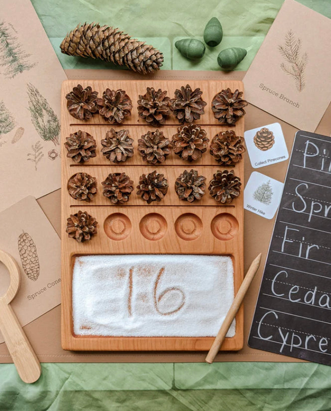 Natural wooden 20 twenty frame sensory tray with pinecones, green acorns, educational cards, and writing slate on green fabric background