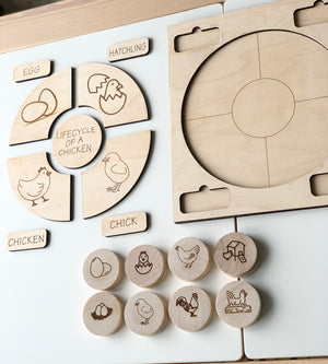 Natural wooden life cycle of a chicken puzzle with labeled pieces and matching engraved wooden discs on white background