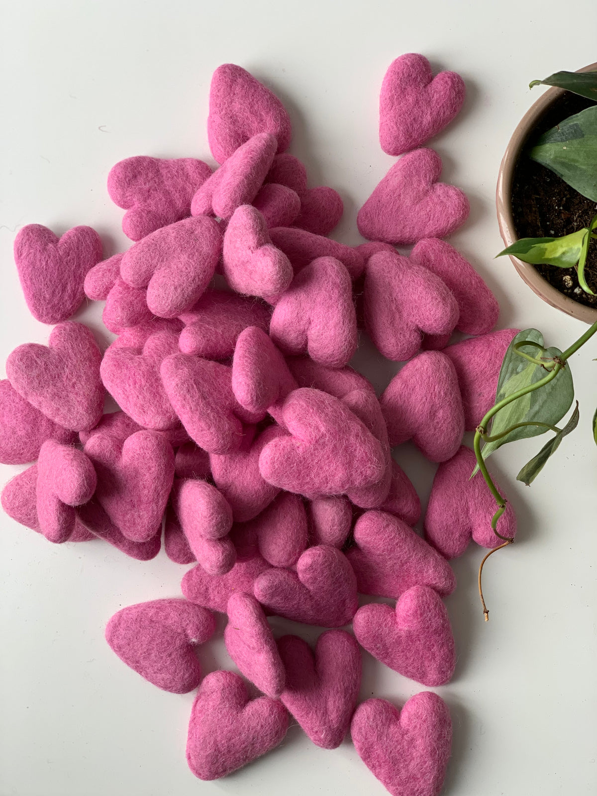 Pile of medium pink felt hearts made from 100% pure wool on white surface next to green potted plant