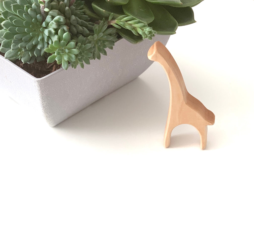 Small natural wooden giraffe toy figurine standing next to green succulent plants in gray planter on white surface