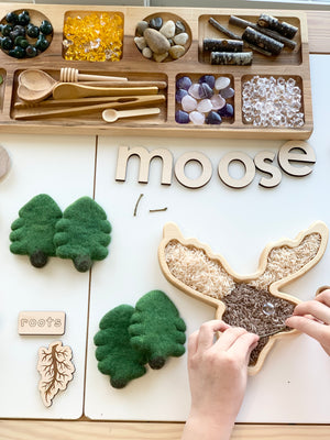 Wooden sensory tray shaped like a moose filled with rice and surrounded by natural sensory play items on table