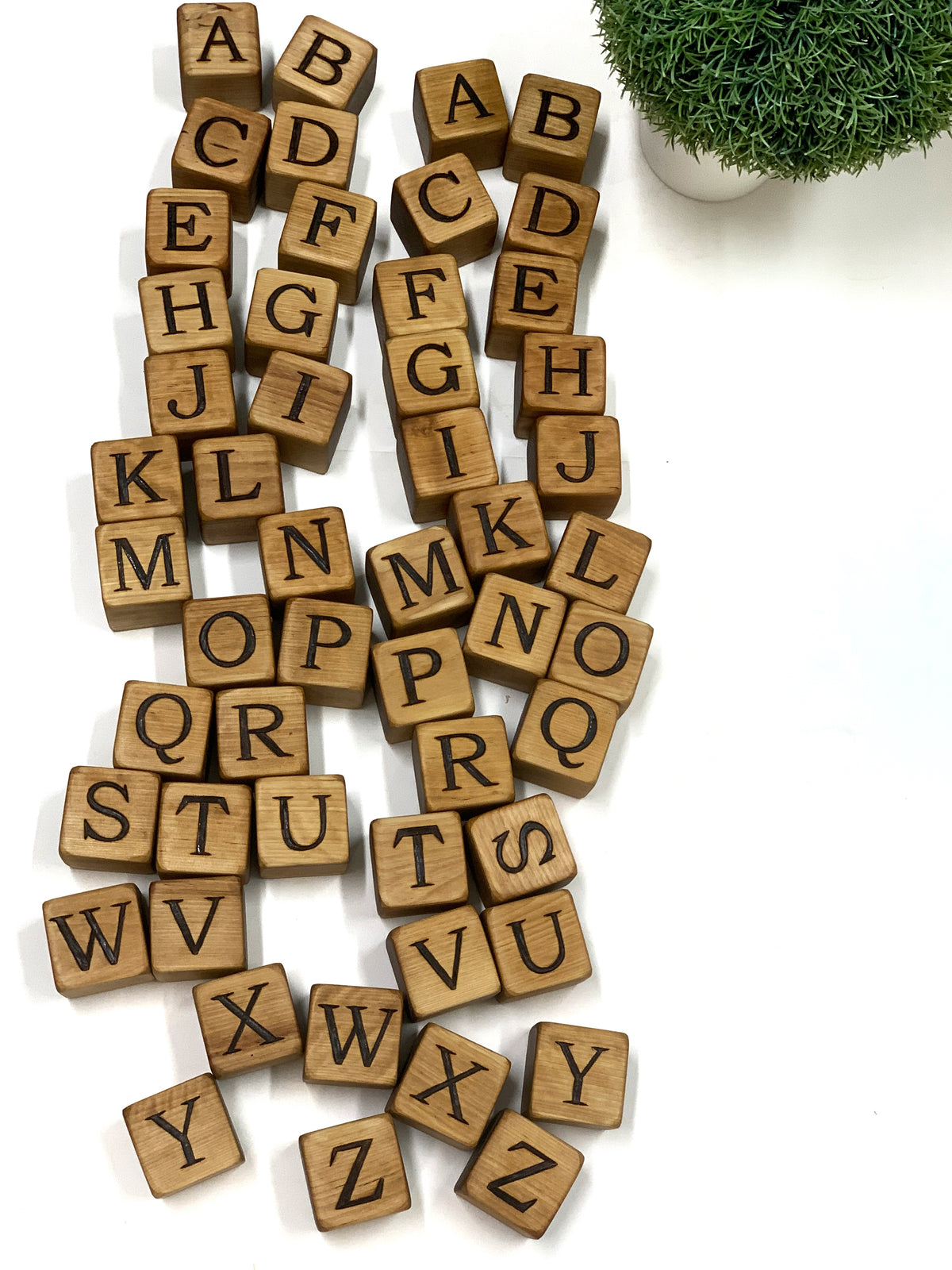 Natural 2-inch wooden alphabet blocks with engraved capital letters scattered on white background near small potted green plant
