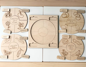 Unfinished wooden life cycle puzzles showing plant, butterfly, chicken, and frog stages with labeled pieces on wooden table