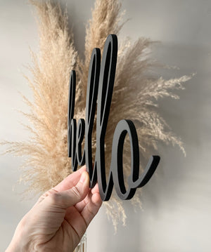 Hand holding custom black cursive word cutout sign with dried pampas grass background on neutral wall