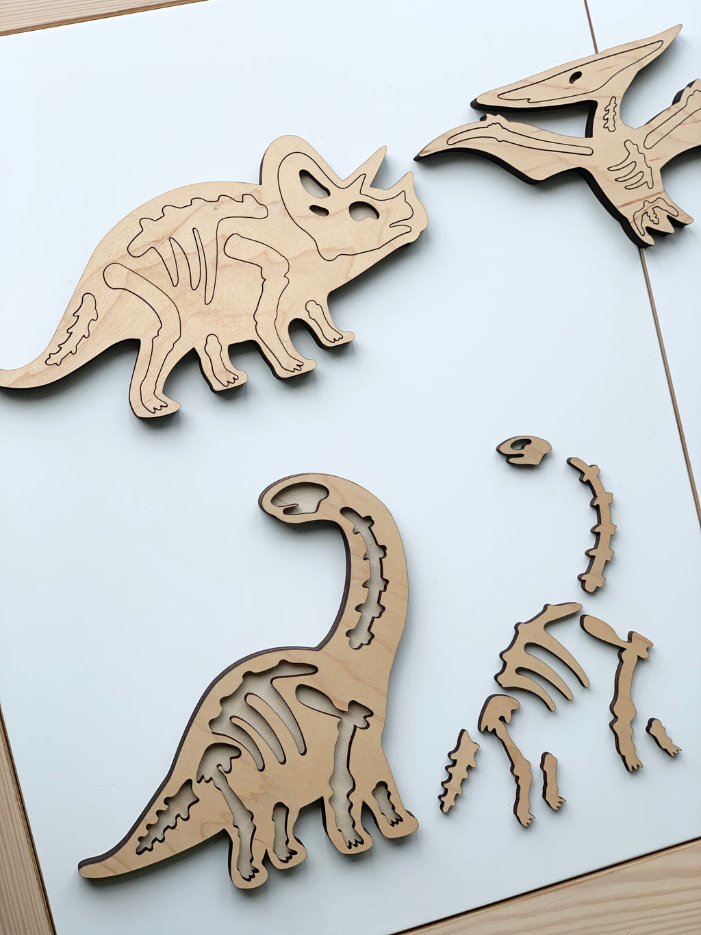 Natural wooden dinosaur skeleton puzzles featuring Triceratops, Pterodactyl, and Brachiosaurus bones on white surface