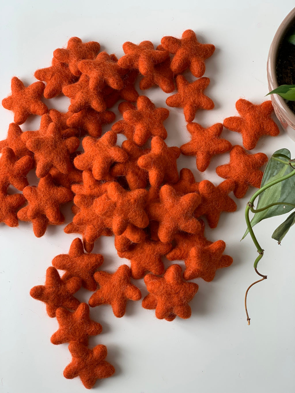 Handmade bright orange felt stars made from pure wool, scattered on white surface next to green plant and pot