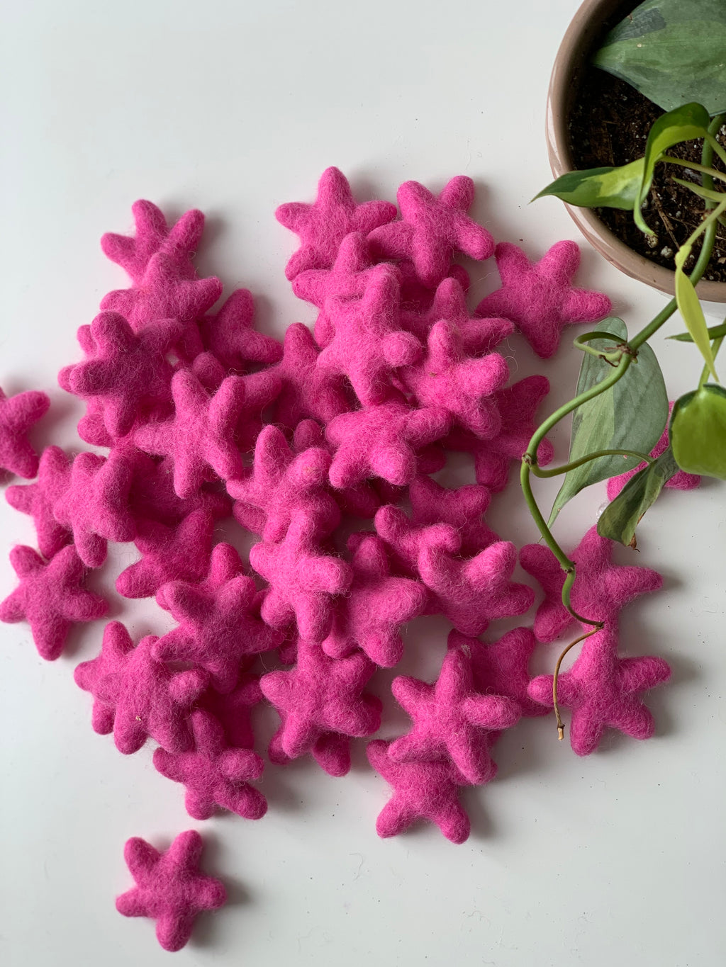 Small handmade bright pink felt stars scattered on white surface next to green potted plant with trailing vine