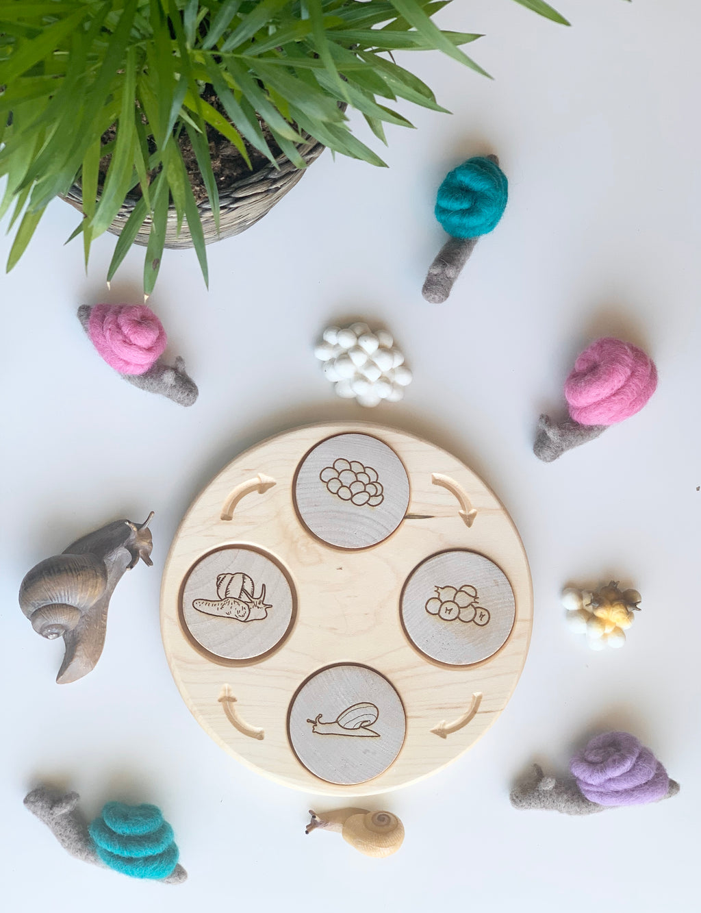 Round wooden life cycle sensory tray with engraved snail stages and colorful felt snails on white background