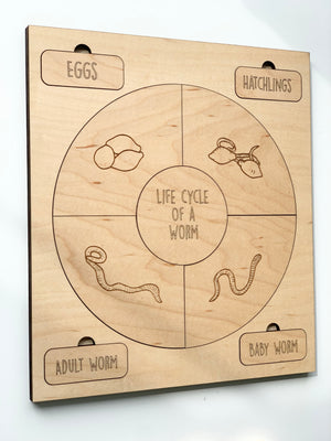 Wooden life cycle puzzle showing stages of worm development with engraved illustrations on natural wood background