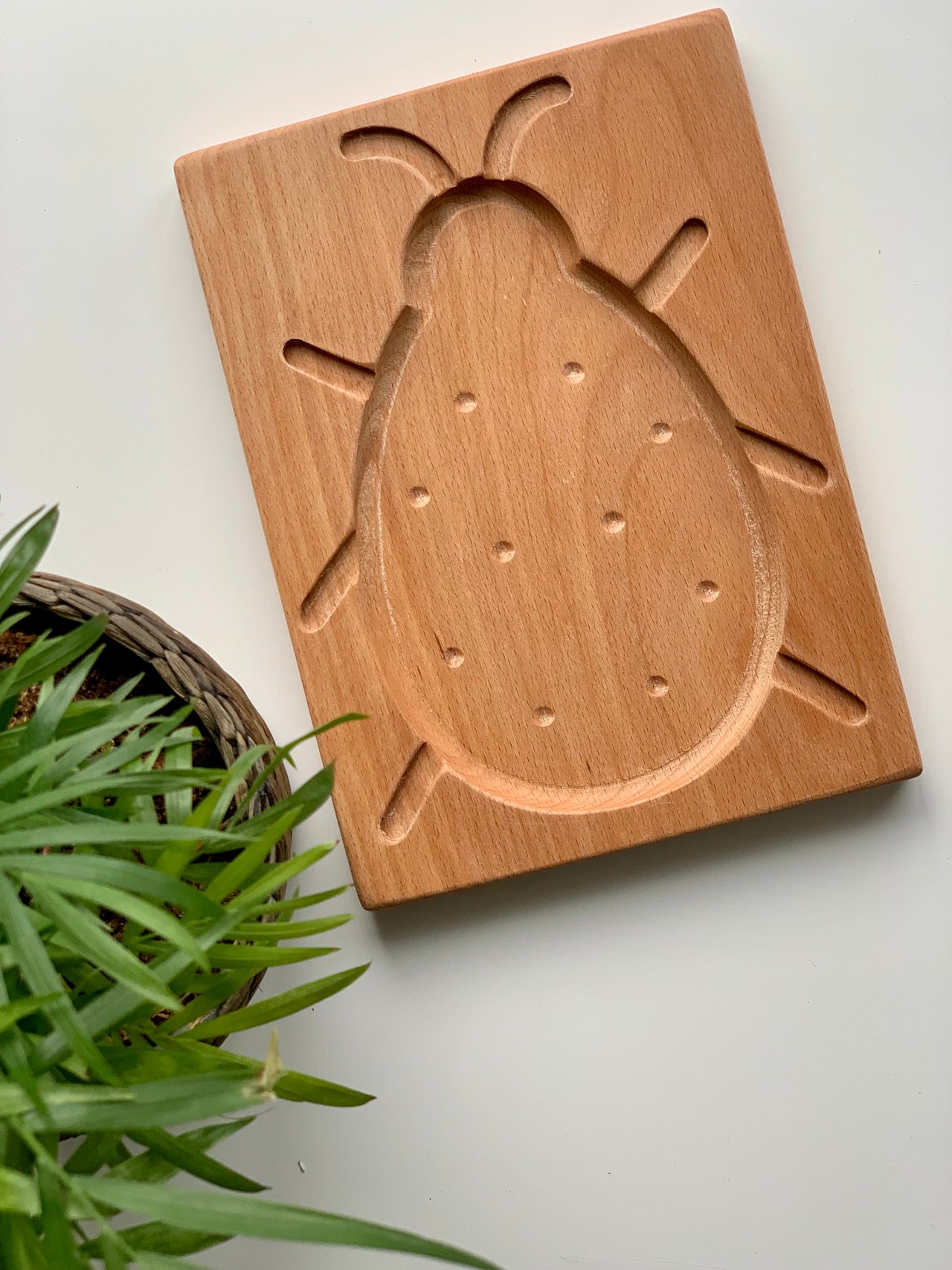 Natural wooden sensory tray with carved ladybug design on smooth light wood next to green potted plant on white surface