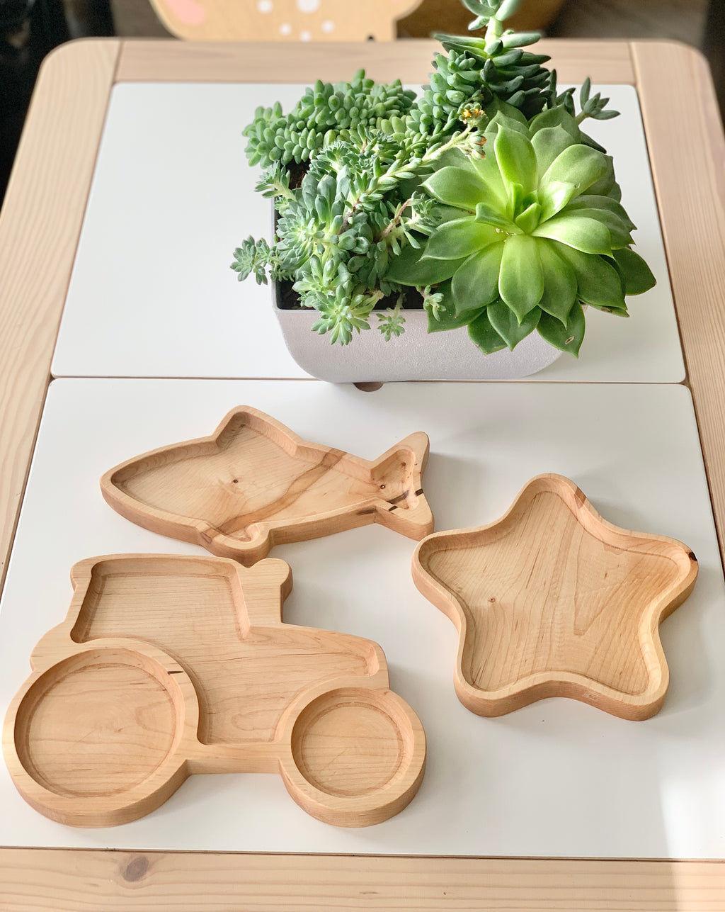Three natural wooden sensory trays shaped like a shark, a tractor, and a star on a light wooden table with succulents