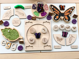 Wooden sensory tray and butterfly plate featuring butterfly life cycle pieces with colorful textured elements on light wood surface