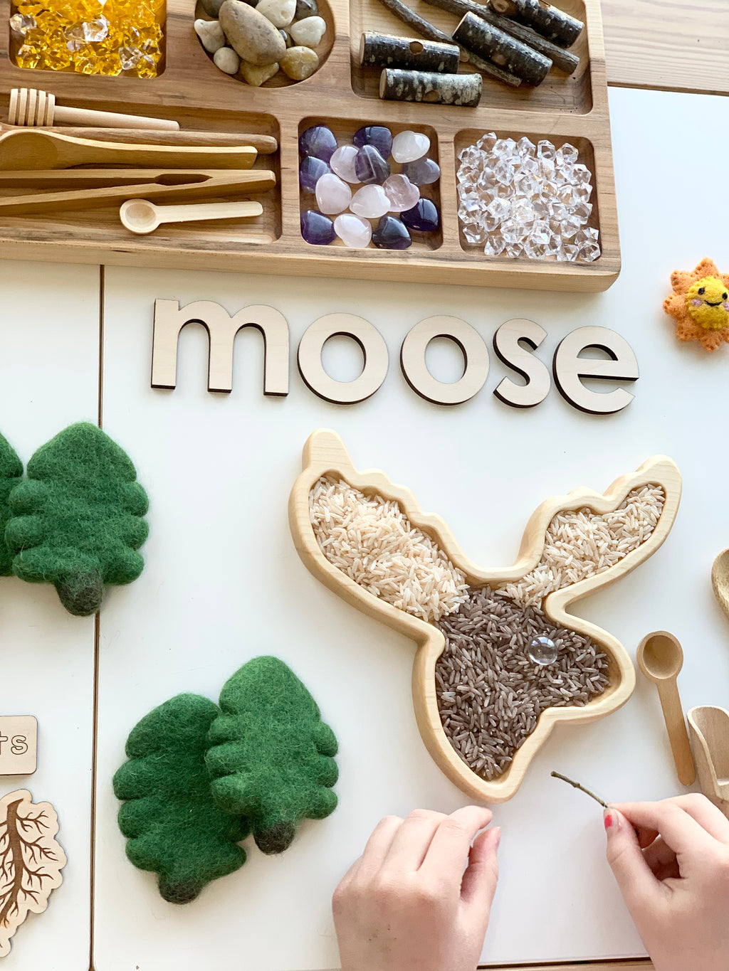 Wooden moose-shaped sensory tray filled with brown and beige rice next to wooden letters spelling moose and felt trees