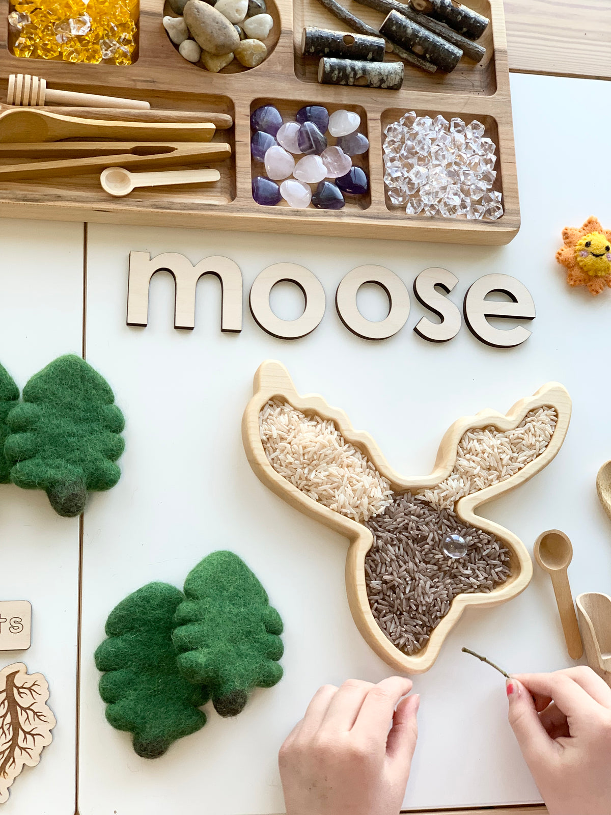 Wooden moose-shaped sensory tray filled with brown and beige rice next to wooden letters spelling moose and felt trees