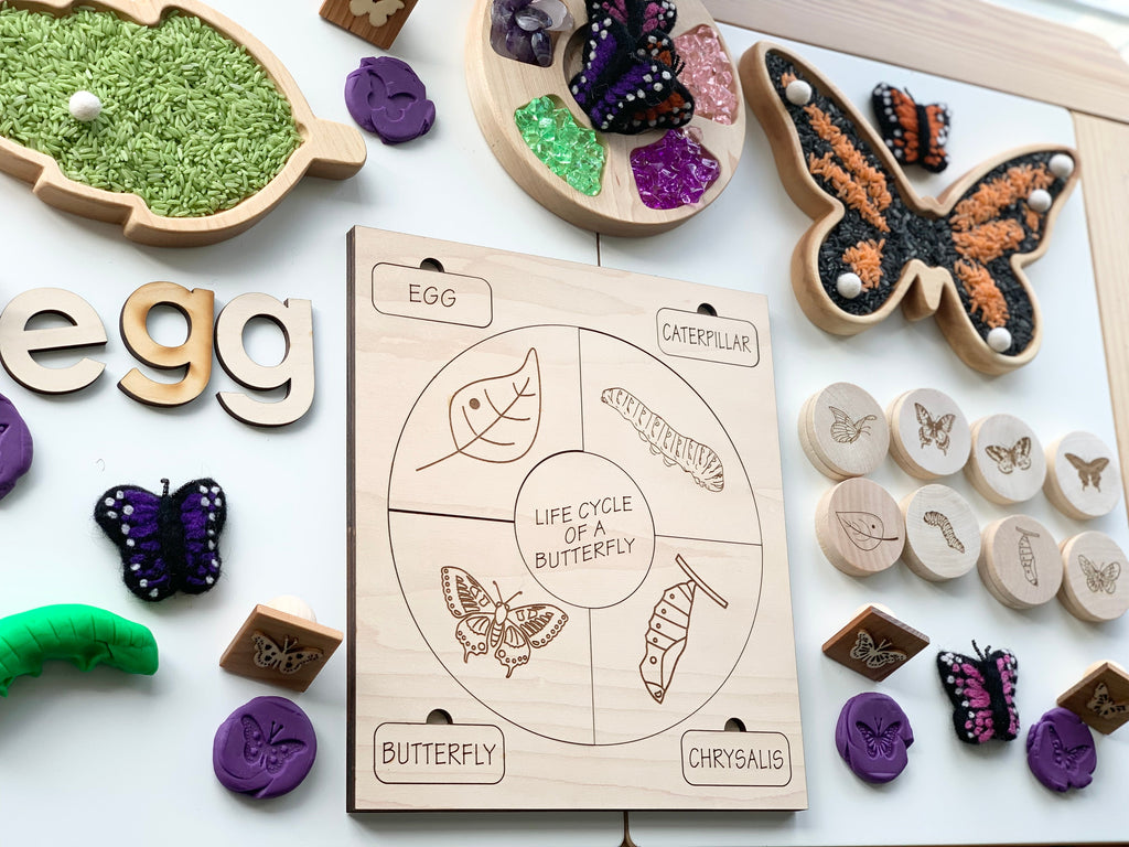 Wooden educational puzzle displaying the life cycle of a butterfly with labeled stages and colorful tactile butterfly pieces