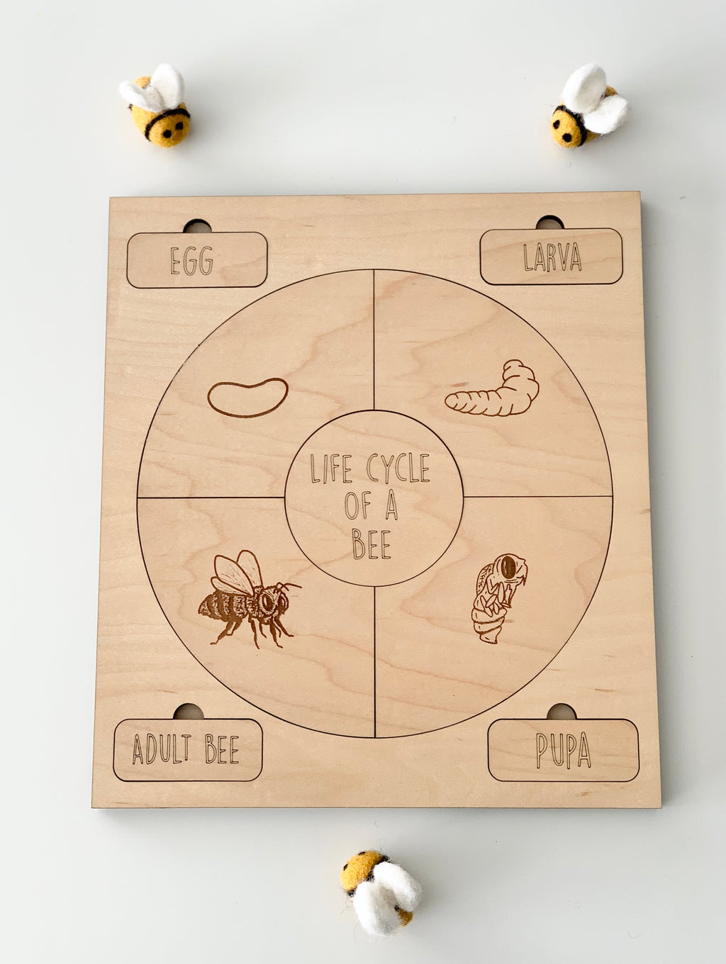 Wooden puzzle board illustrating the life cycle of a bee with engraved egg, larva, pupa, and adult bee stages on wood grain background
