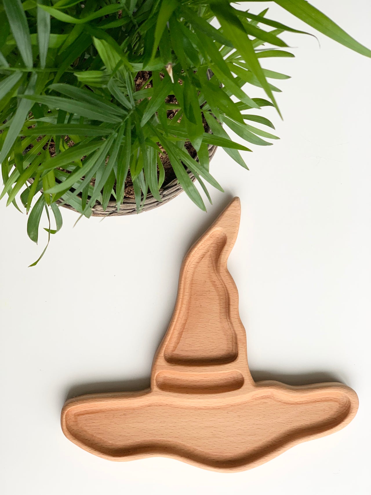 Light natural wood witch hat shaped sensory tray with carved compartments next to green potted plant on white surface