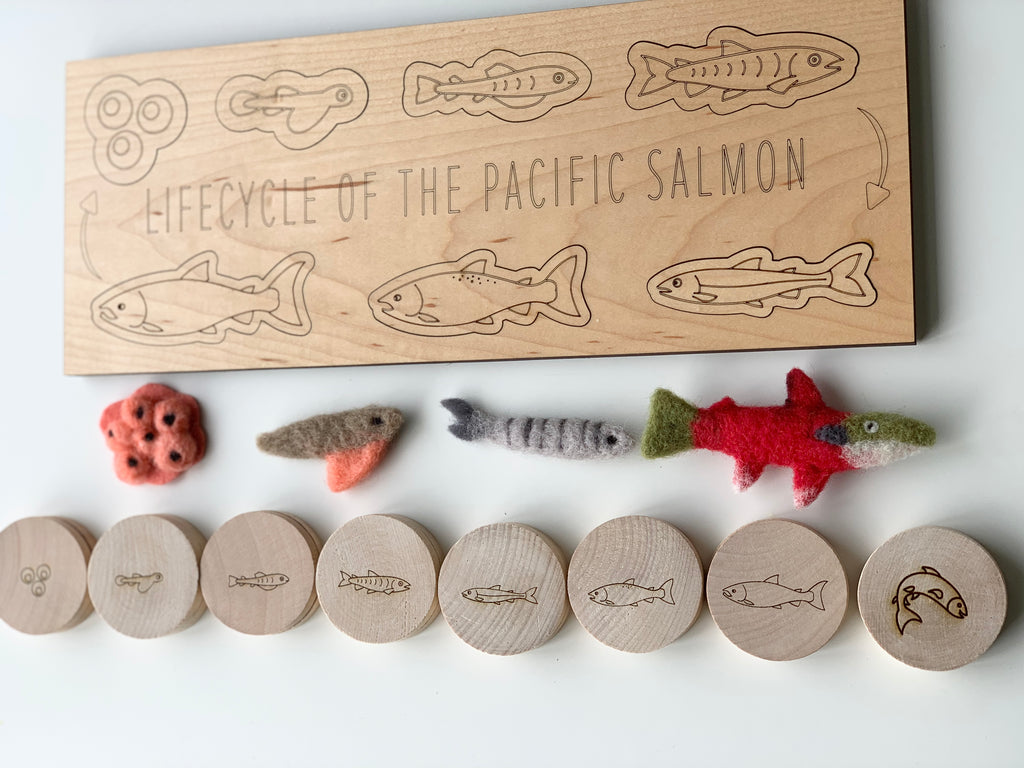 Wooden memory game discs with engraved Pacific salmon life cycle stages and matching colorful felted salmon life forms on white background