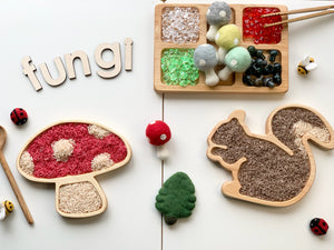 Natural wooden squirrel-shaped sensory tray filled with brown rice beside mushroom-shaped tray filled with colored rice on white surface