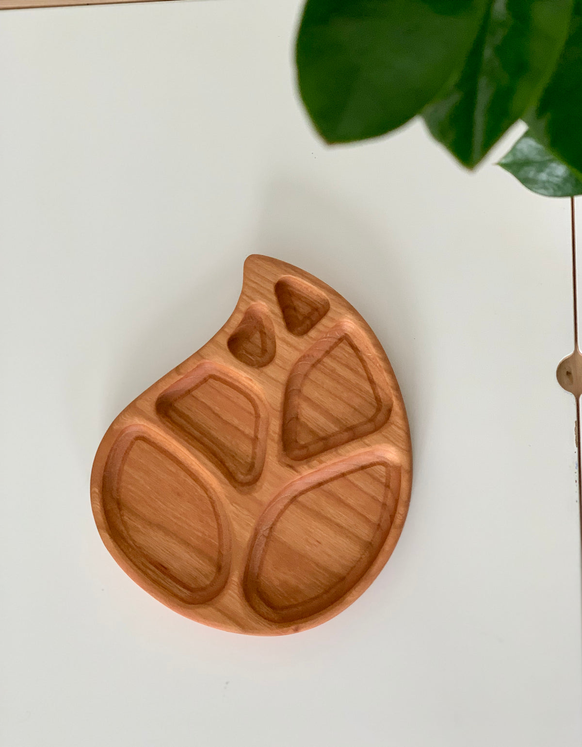 Leaf-shaped wooden sensory tray with multiple compartments on white surface and green leaves above