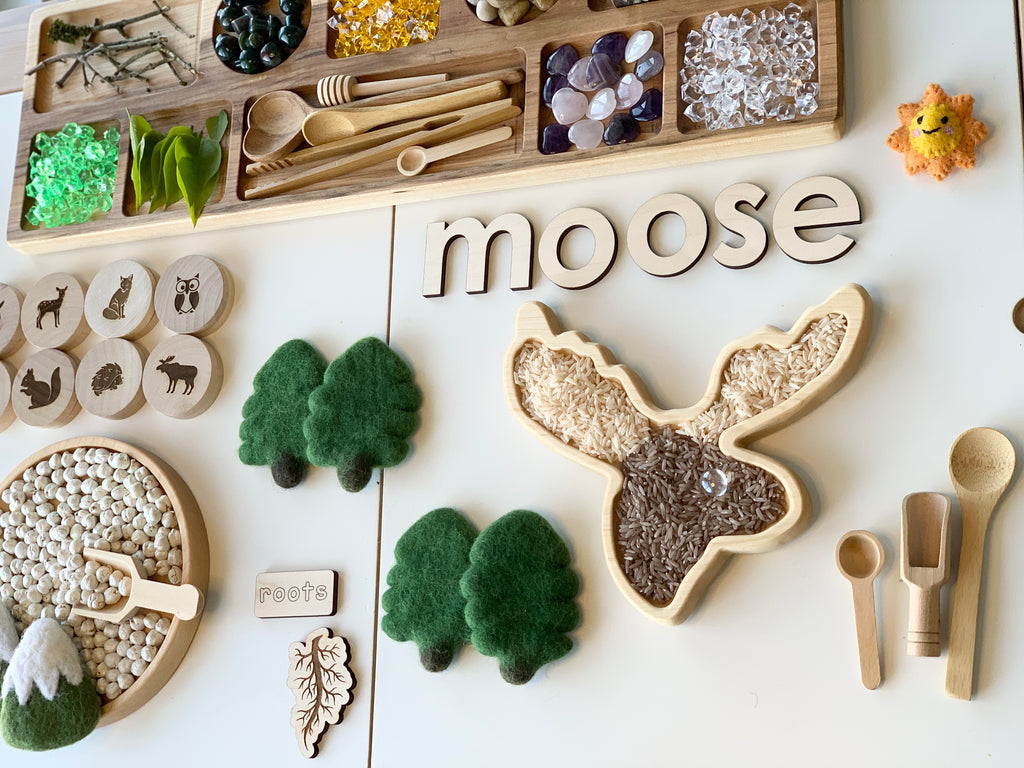 Wooden sensory tray shaped like a moose head filled with rice and brown seeds with nature-themed sensory play items around