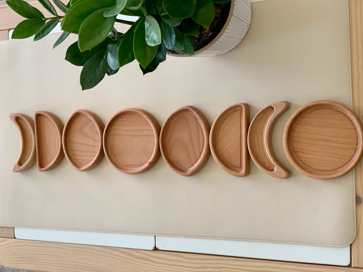 Wooden moon phase sensory plates arranged in order on beige surface with green leafy plant in white pot above