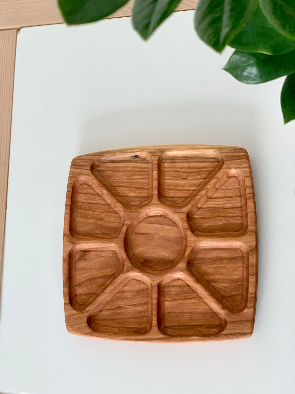 Sun rays inspired wooden sensory tray with eight compartments on white surface with green plant leaves above