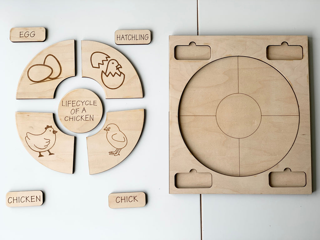 Natural wooden life cycle puzzle pieces showing stages of a chicken with labeled word tiles on white background
