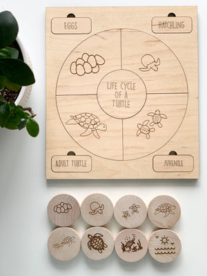 Natural wooden turtle life cycle memory game with engraved stages and matching wood discs on white background