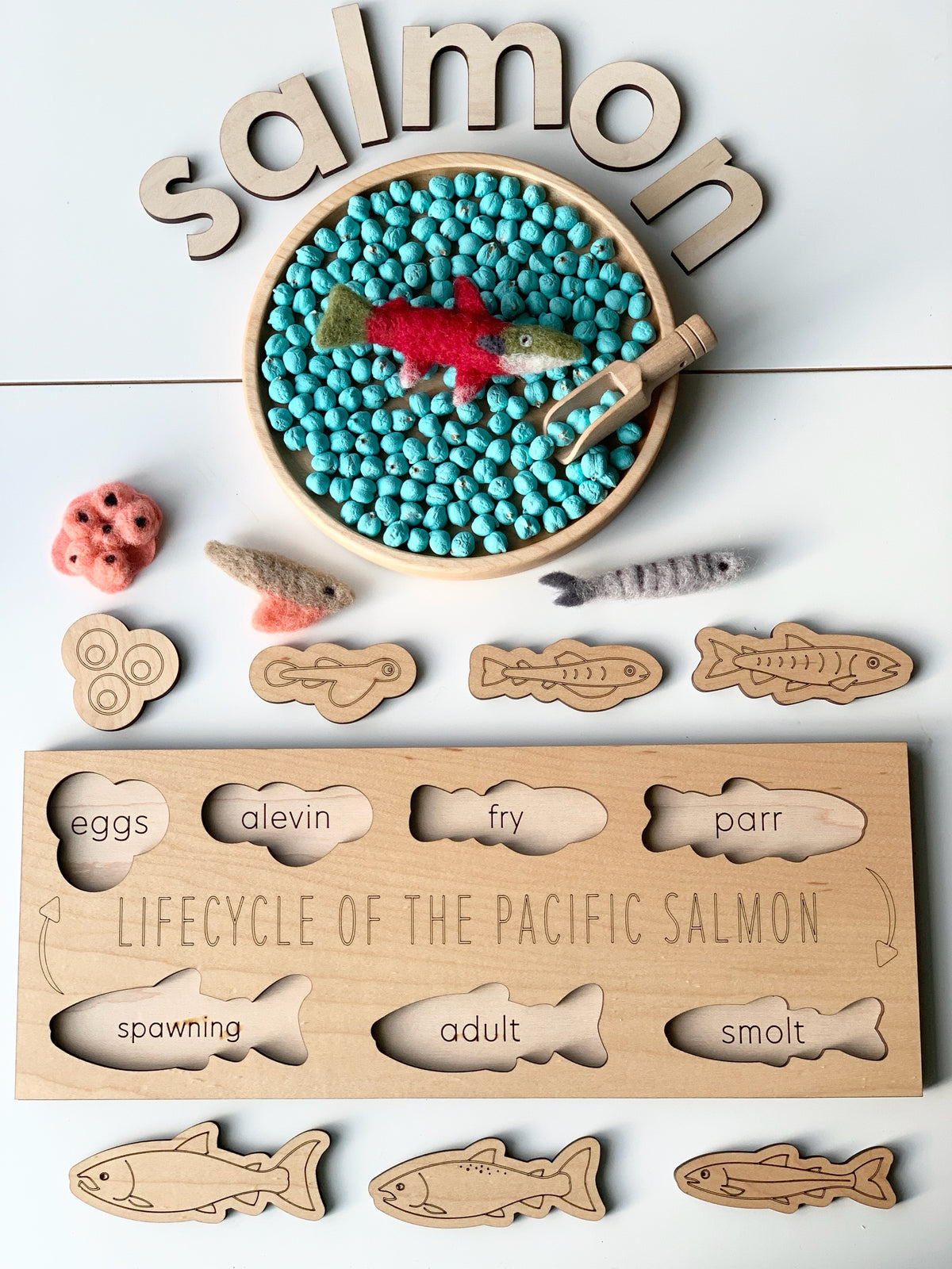 Natural wooden salmon life cycle puzzle with engraved stages and felt fish pieces on white background