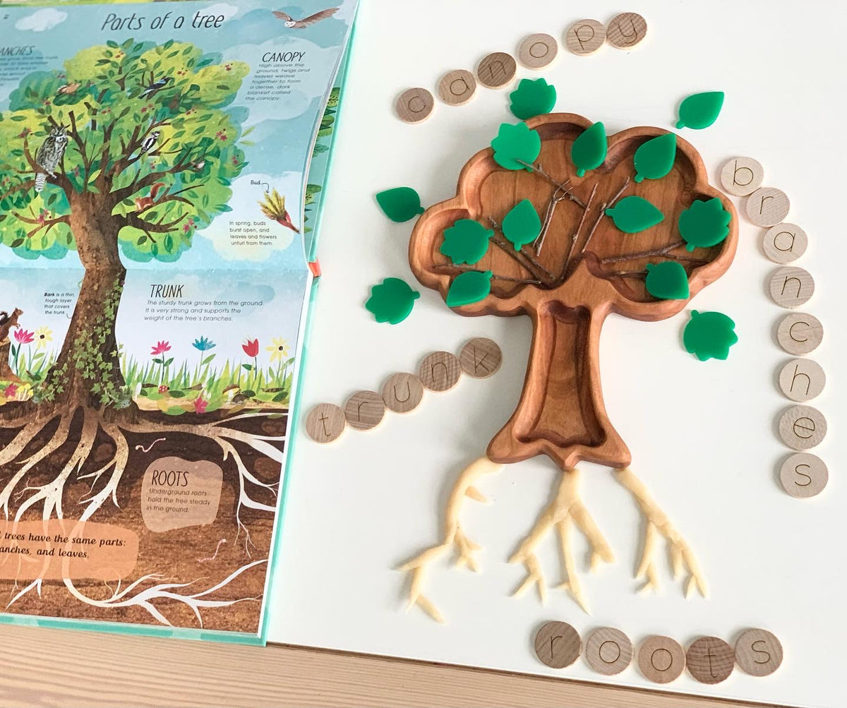 Wooden tree-shaped sensory tray with green leaf pieces and circular wooden letter tiles spelling canopy, trunk, branches, and roots