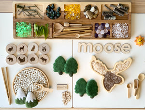 Wooden sensory tray shaped like a moose with natural materials and forest-themed items on white surface