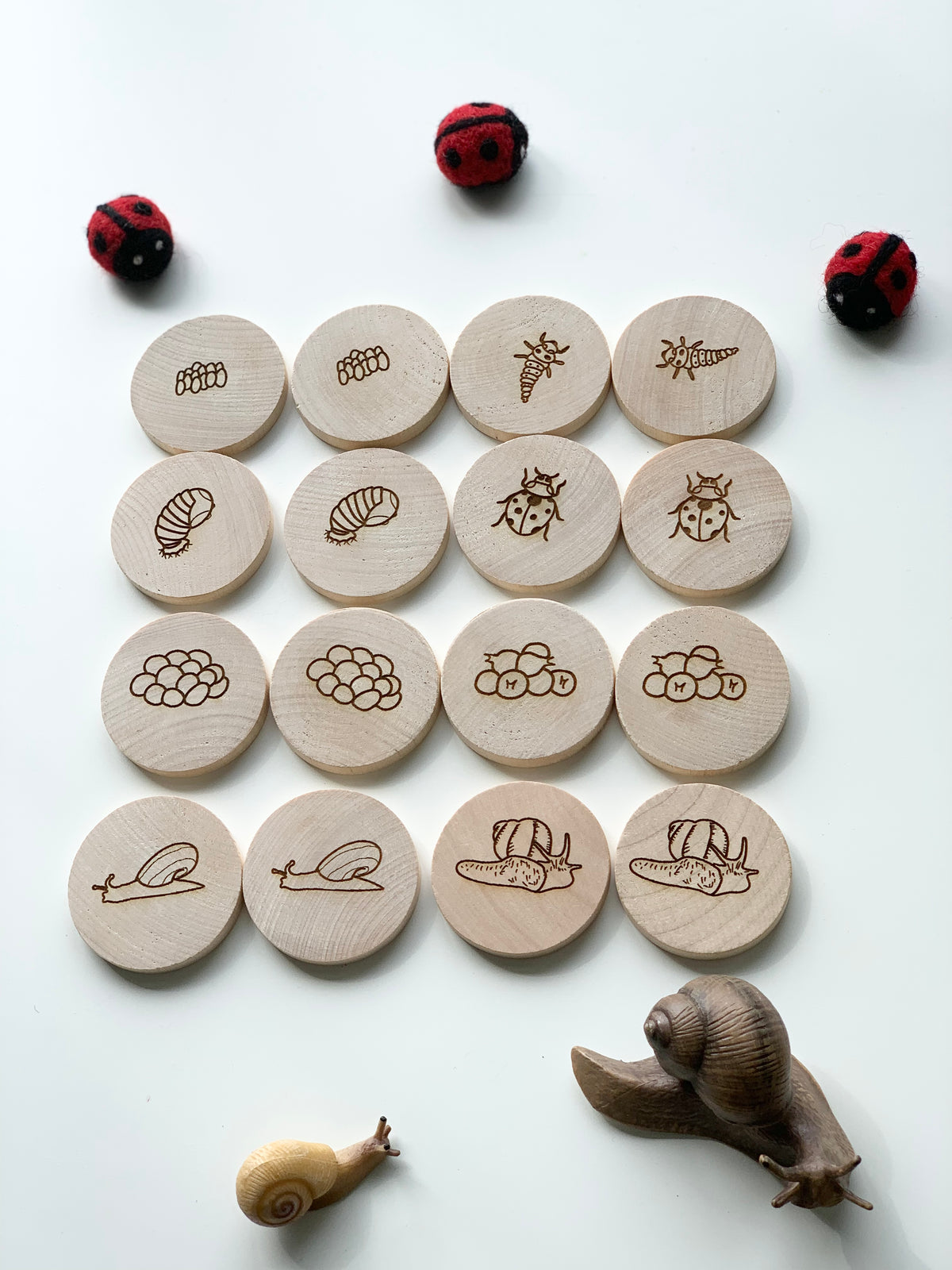 Natural wood memory game discs with laser-engraved ladybug and snail life cycle illustrations arranged in rows with toy insects