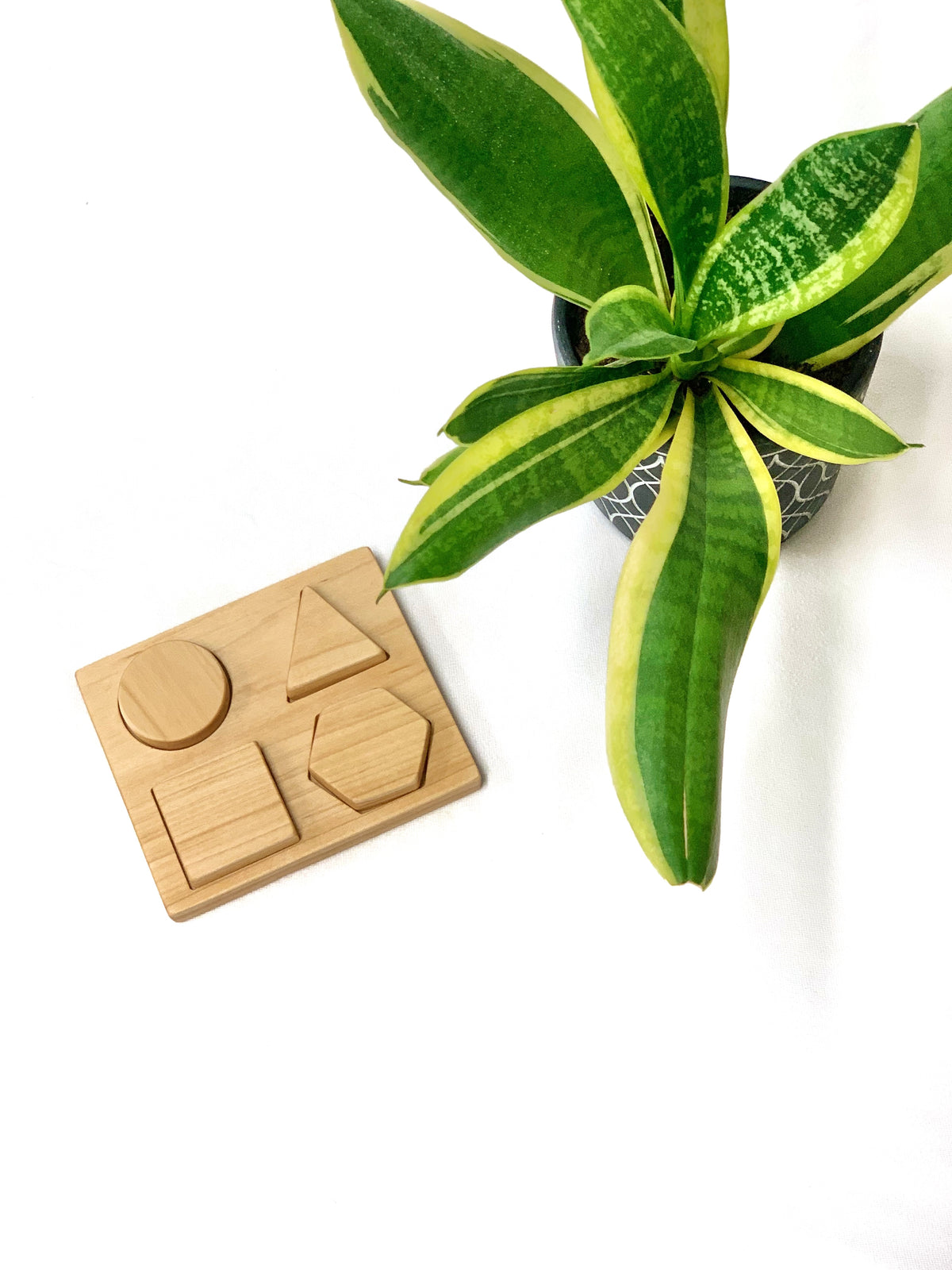 Natural wooden shape puzzle with circle, triangle, square, and hexagon pieces next to green potted plant on white background