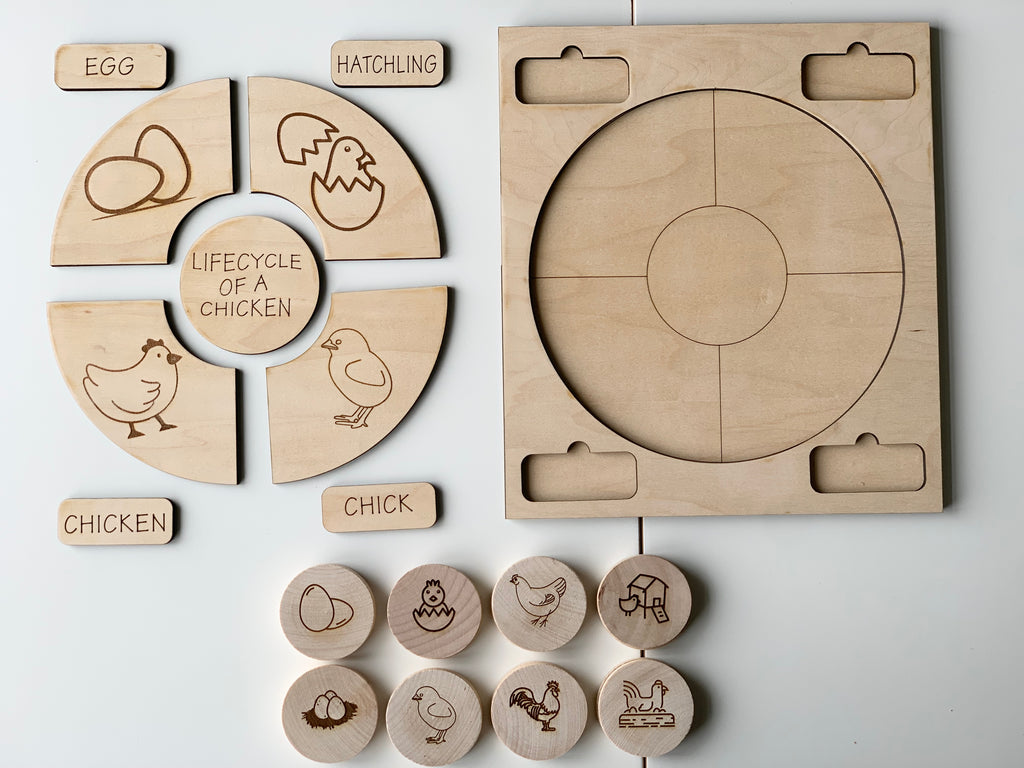 Natural wooden chicken life cycle memory game with engraved stages and puzzle board on white surface