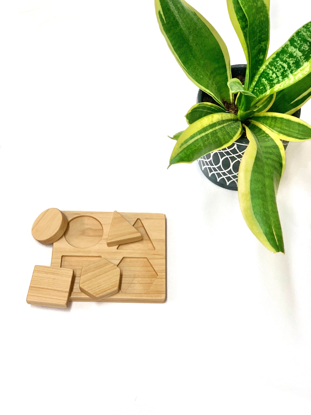 Natural wooden shape puzzle with geometric pieces on white surface next to green plant in decorative black pot