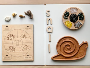 Wooden snail sensory tray set with life cycle puzzle, natural materials, and cherry wood snail plate on white background