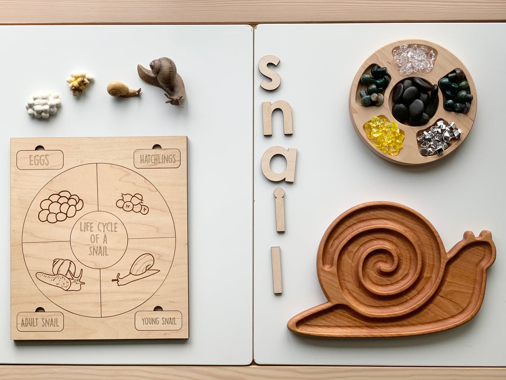 Wooden snail sensory tray set with life cycle puzzle, natural materials, and cherry wood snail plate on white background