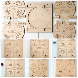 Set of wooden life cycle puzzles depicting plant, butterfly, chicken, frog, ant, snail, and bee stages on natural wood background