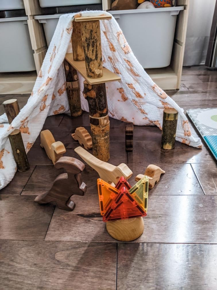 Assorted natural wood dinosaur toy figurines arranged in a play scene with wooden blocks and fabric tent on hardwood floor