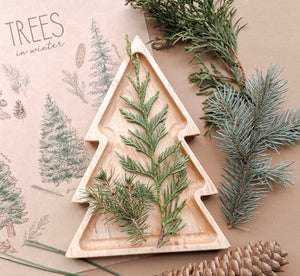 Wooden tree-shaped sensory tray with green pine branches and pinecones on beige background with tree sketches