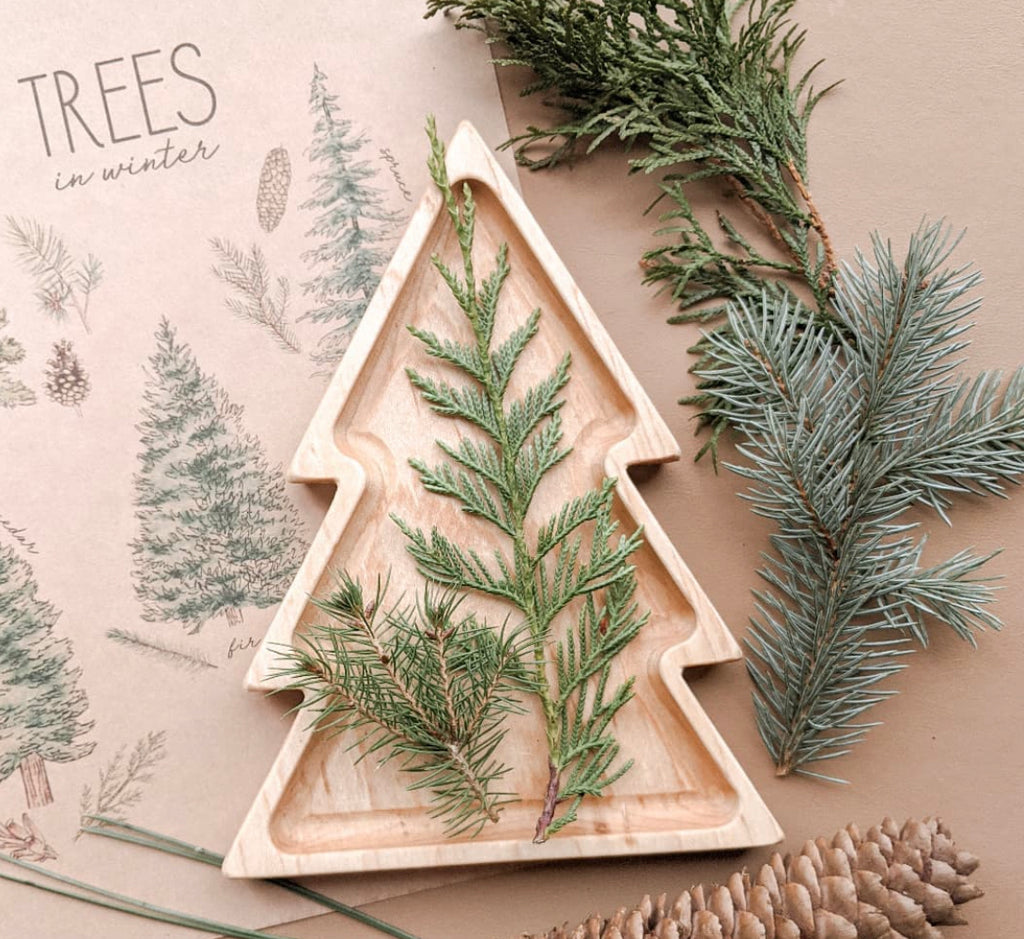 Wooden tree-shaped sensory tray with green pine branches and pinecones on beige background with tree sketches