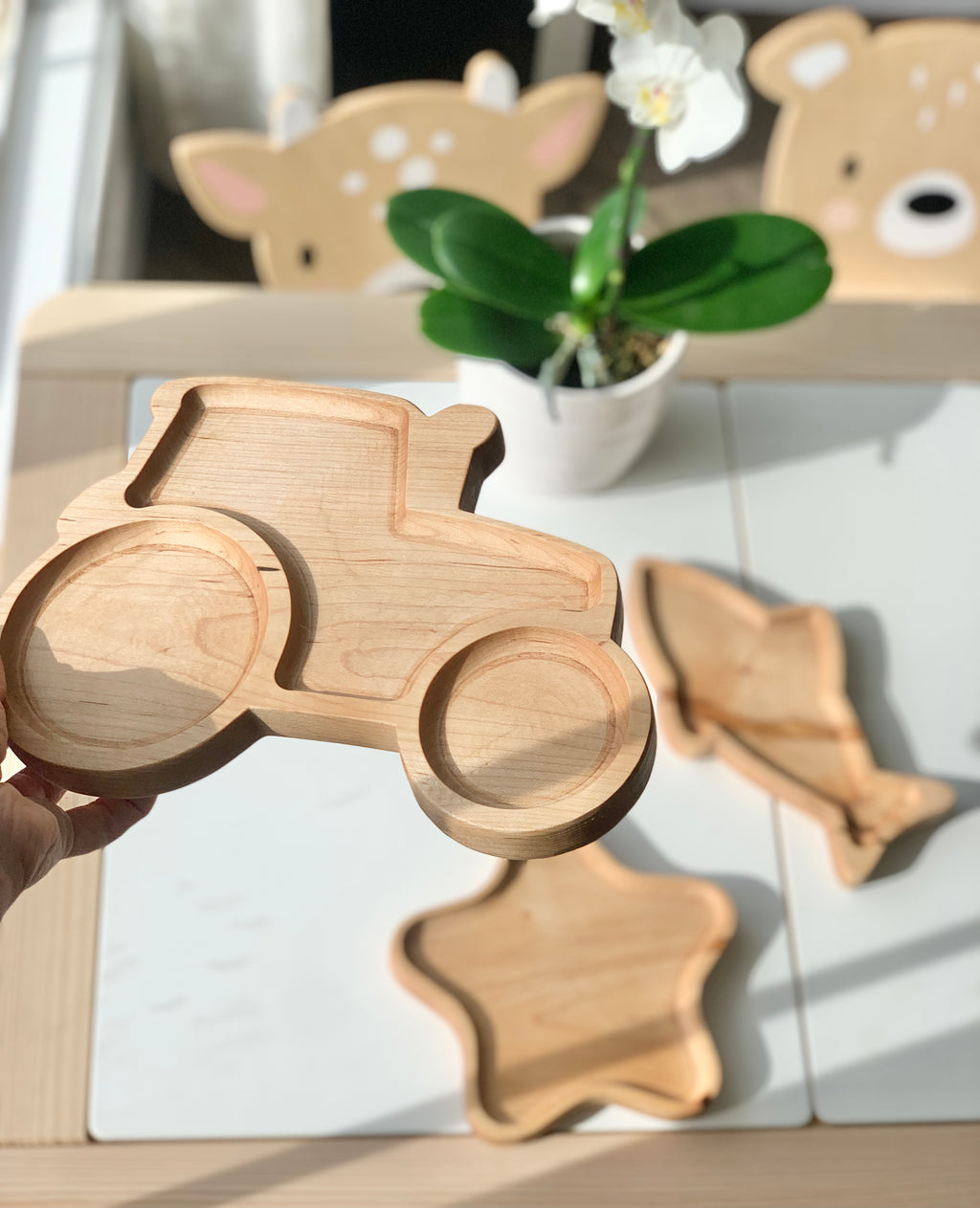 Natural wooden tractor-shaped sensory tray held over table with star and fish trays and plant in background
