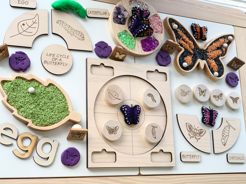 Educational wooden life cycle puzzle showing butterfly stages with labeled pieces and colorful textured illustrations