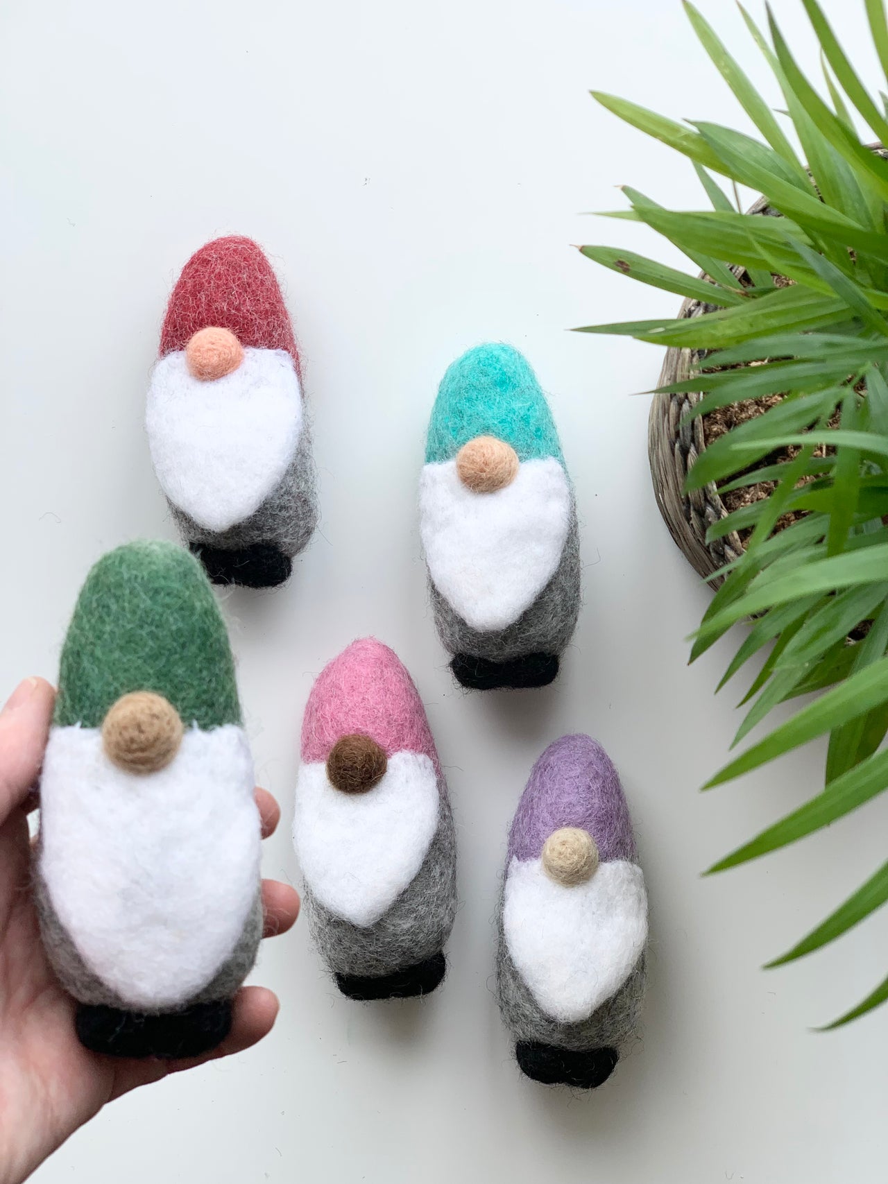 Five handmade felt gnomes with colorful hats and white beards arranged on white surface near green plant