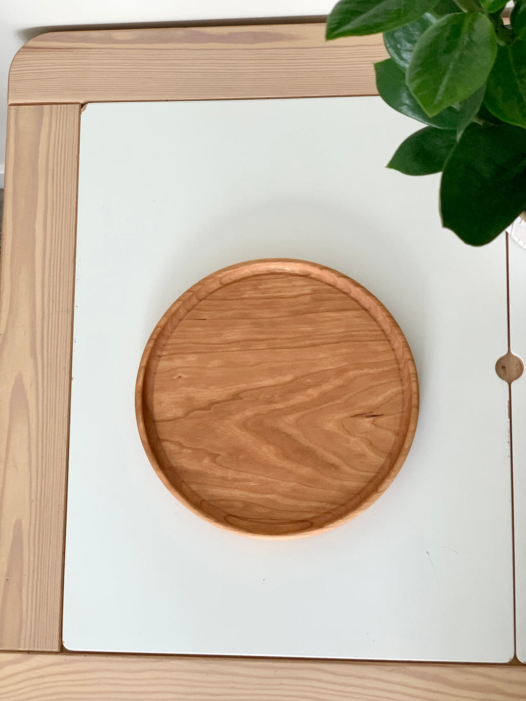 Round wooden tray with natural grain placed on a white panel next to green leafy plant on light wood surface