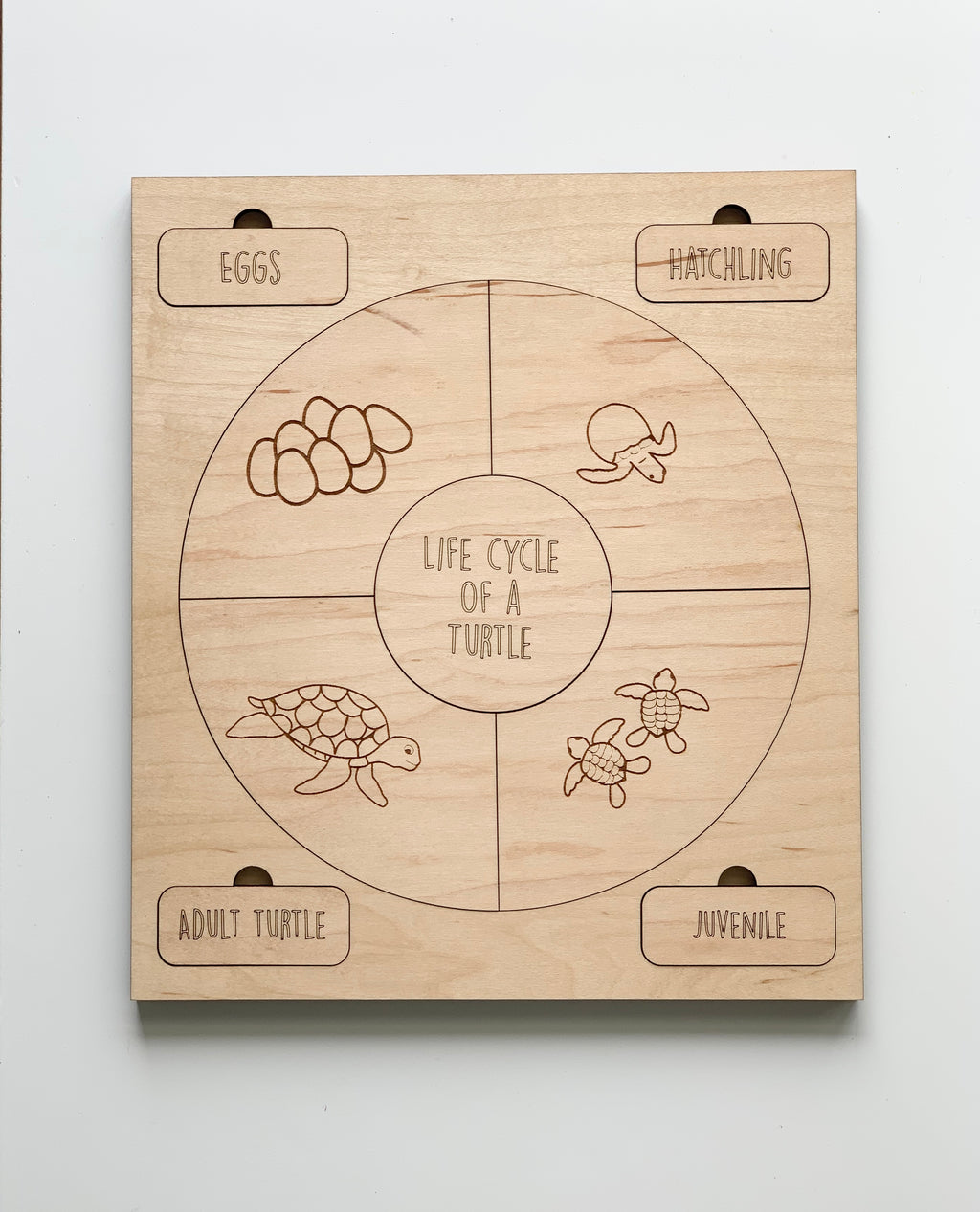 Natural wooden life cycle puzzle showing turtle stages from eggs to adult on light wood background